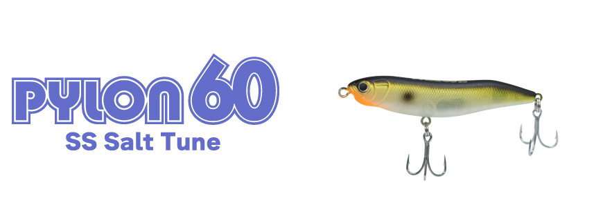 pylon60ss_salt